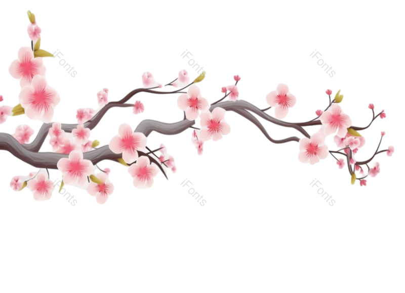 叶子图片,装饰元素,元素PNG,清新免抠素材